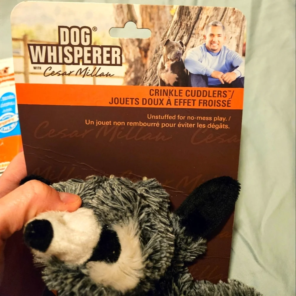 Dog Toy bundle, 4 pc - Picture 4 of 14